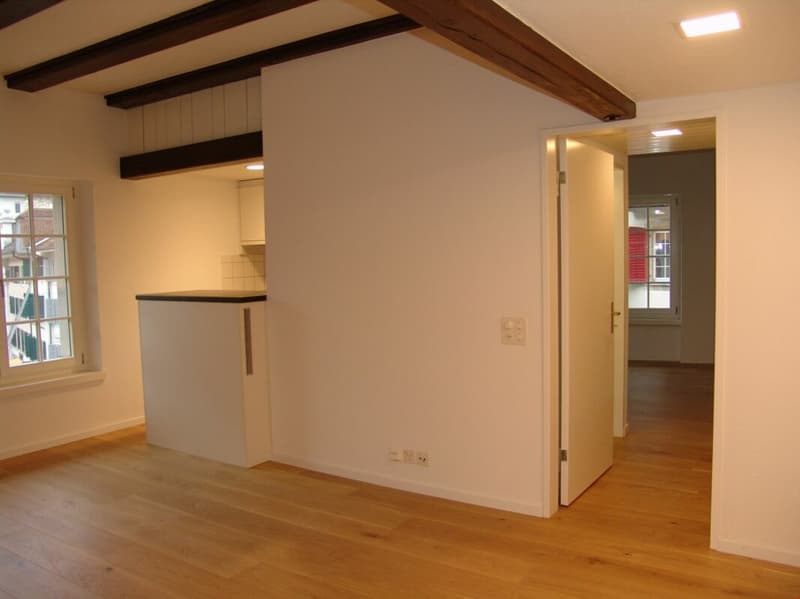 Wohnung mit Sicht auf die St. Ursenkathedrale (3)