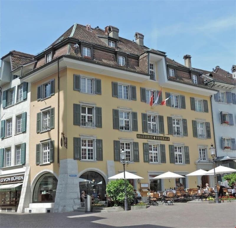 Wohnung mit Sicht auf die St. Ursenkathedrale (9)