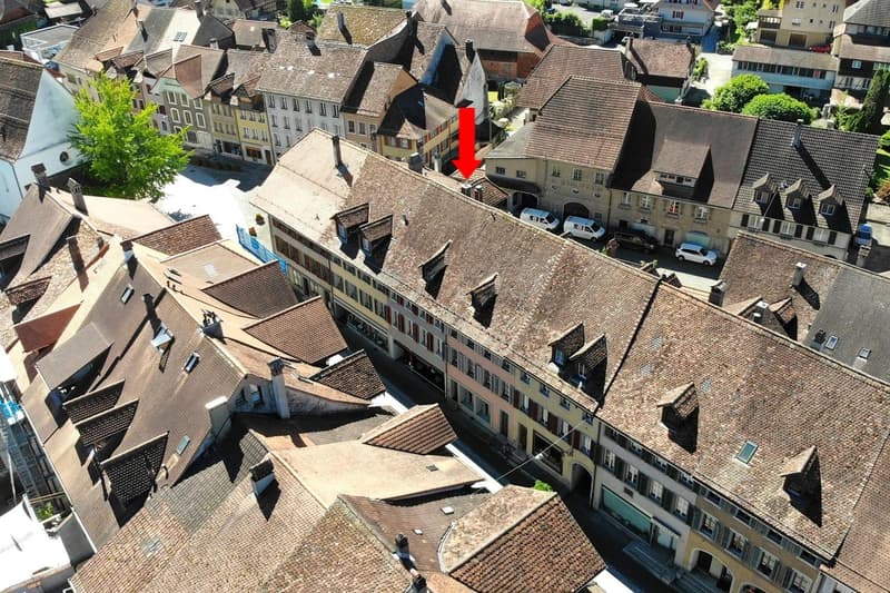 This image shows a bird's eye view of a historic European city with traditional architecture. The buildings have red tiled roofs and are densely packed together, creating a charming and picturesque scene. The image highlights the intricate rooflines and t