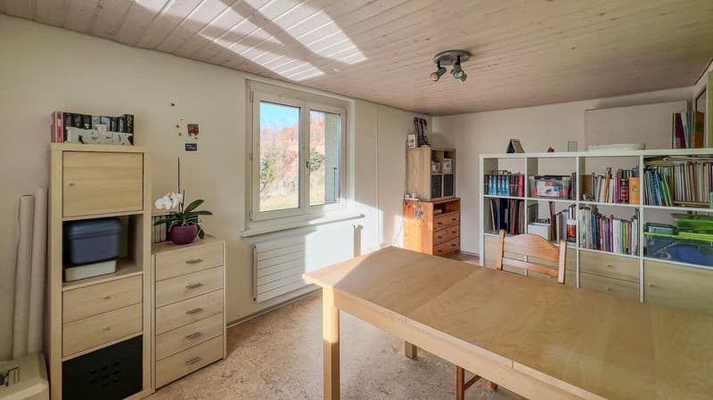 Study room with wooden table, shelves, a potted plant, wooden chair, and books.