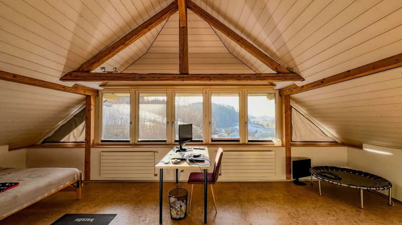 A wooden attic room with white walls, ceiling, and radiators. The room features a bed on the left, a desk with a monitor, chair, and trash bin in the middle, and a trampoline on the right. There are large windows with a view of the outside.