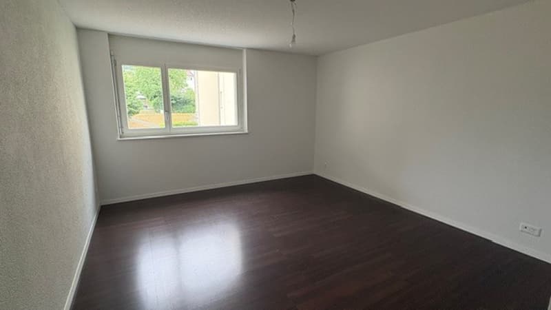 4 1/2 Zimmer-Wohnung (5)