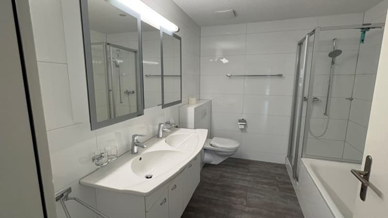 4 1/2 Zimmer-Wohnung (3)