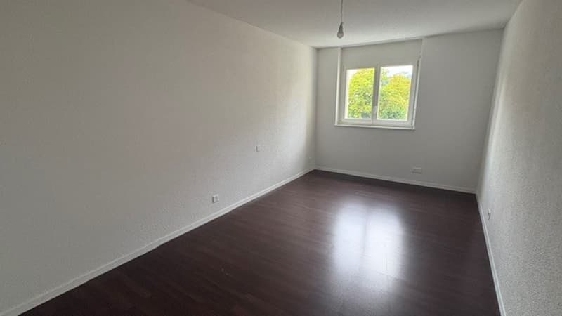 4 1/2 Zimmer-Wohnung (6)