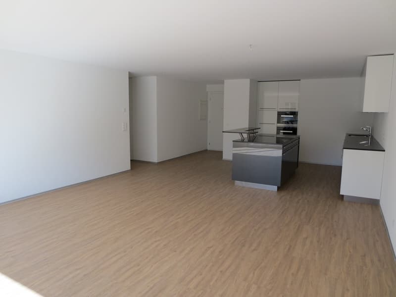 Wunderschöne 3 1/2 Zimmer-Wohnung im Erdgeschoss mit grosser Terrasse und Grünfläche (4)