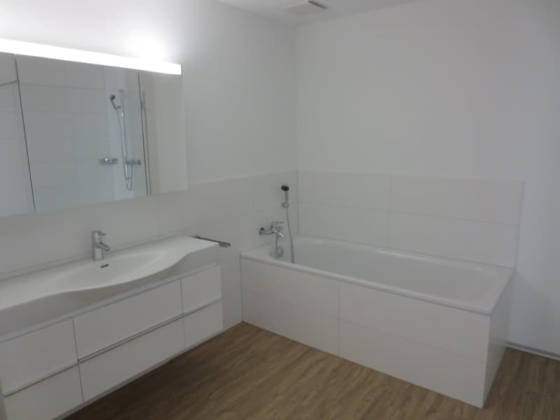 Wunderschöne 3 1/2 Zimmer-Wohnung im Erdgeschoss mit grosser Terrasse und Grünfläche (5)