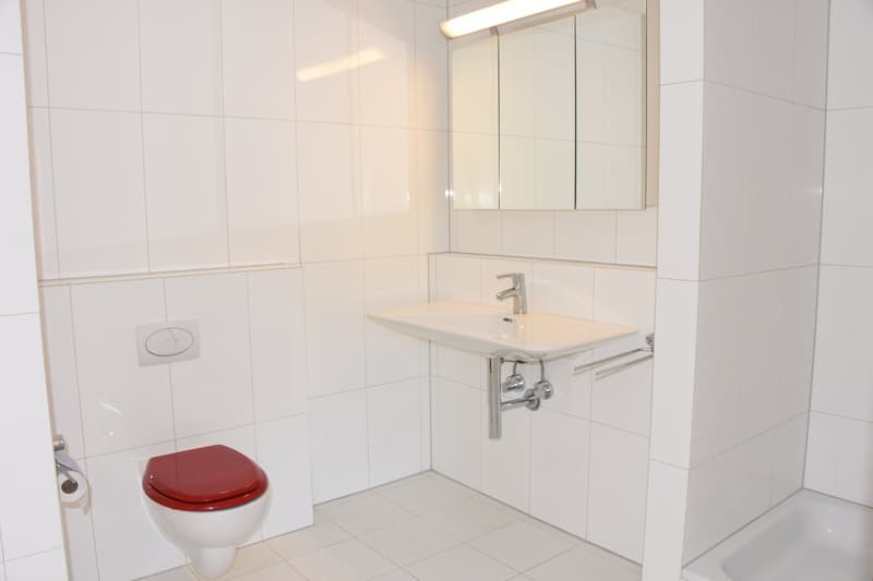 4 1/2 Zimmer Duplex-Wohnung (4)