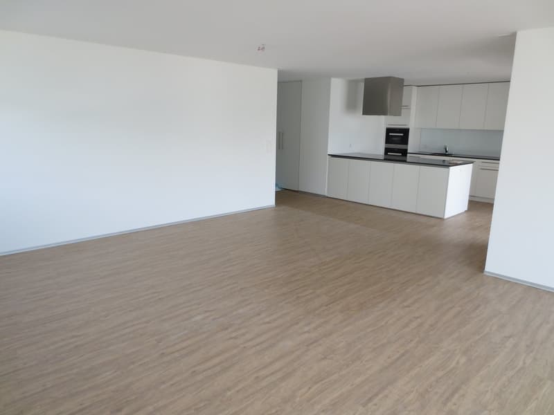 4 1/2 Zimmer-Wohnung mit grossem Balkon (4)