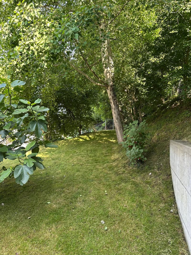 4.5 Zi, Studio, Dachterrasse und ein Garten direkt am Waldrand (6)