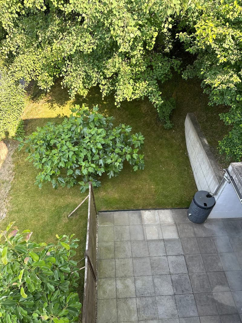 4.5 Zi, Studio, Dachterrasse und ein Garten direkt am Waldrand (9)