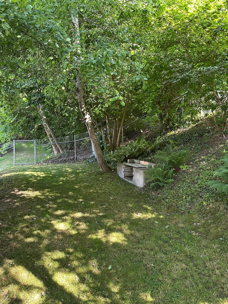 4.5 Zi, Studio, Dachterrasse und ein Garten direkt am Waldrand (7)