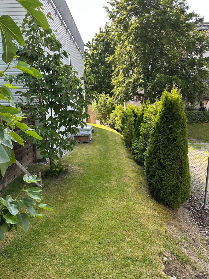 4.5 Zi, Studio, Dachterrasse und ein Garten direkt am Waldrand (8)