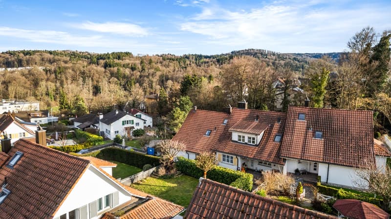 detached house, brown roof, white walls, 4 houses in total, trees in the background