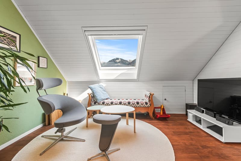 modern living room with a sofa, a chair, a coffee table, a TV, a rug, and a skylight