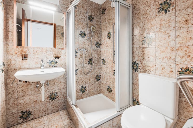 ....und Badezimmer mit Dusche/Lavabo und Toilette