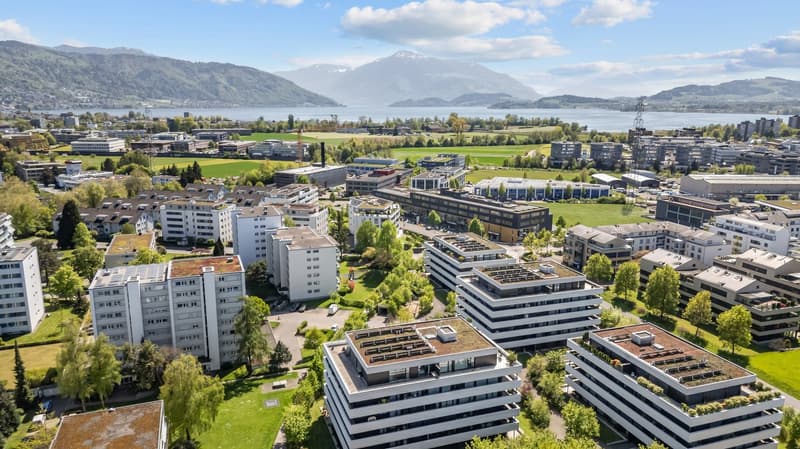 Steinhausen