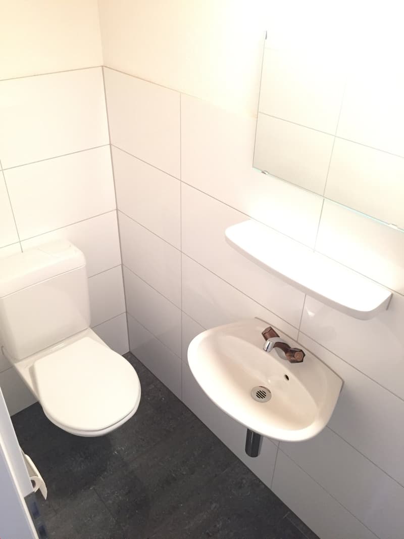 Schöne 3,5-Zimmer Wohnung mit Galerie (14)