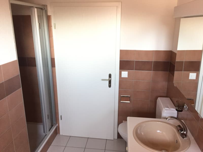 Schöne 3,5-Zimmer Wohnung mit Galerie (11)
