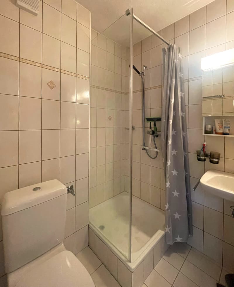 MOLESON | APPARTEMENT 2,5 p (6)