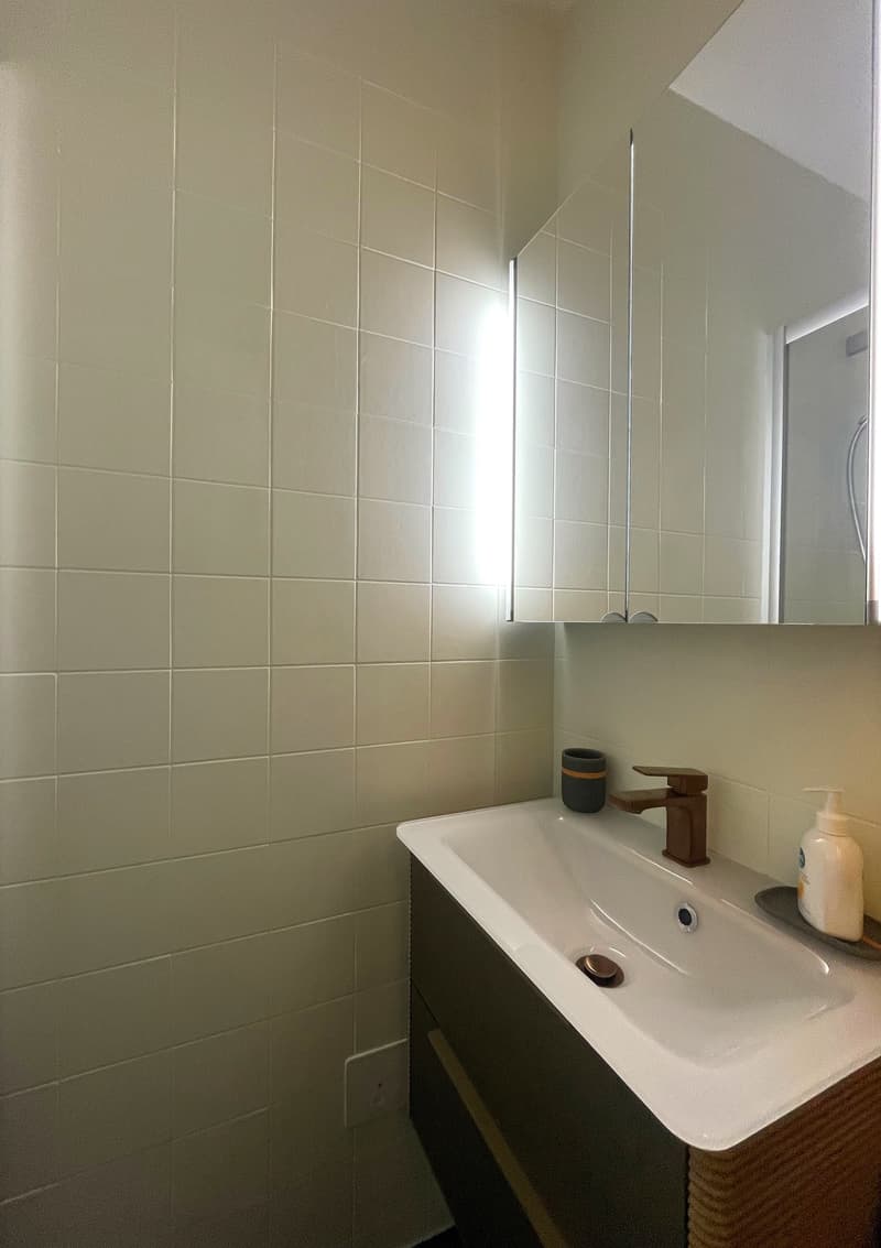 MOLESON | APPARTEMENT 2 p (5)