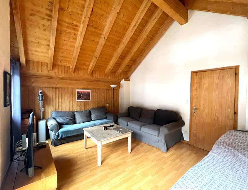 MOLESON | APPARTEMENT 5.5 p (6)