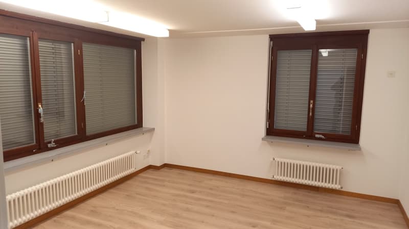 Empty room with hardwood flooring, white walls, and large windows with blinds. The room has radiators along the walls.