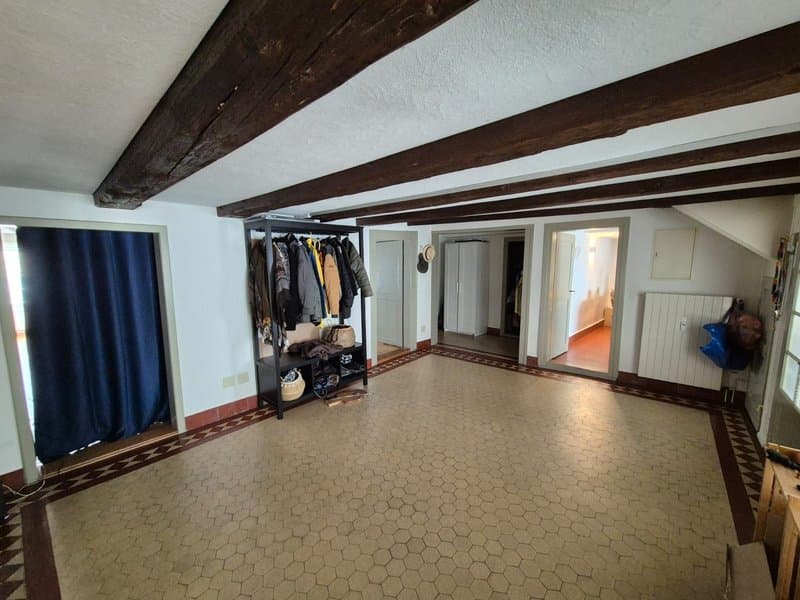 Spacious basement with exposed wooden beams, hexagonal tile flooring, and a closet area for storage. The room appears to be used as a living or recreation space.