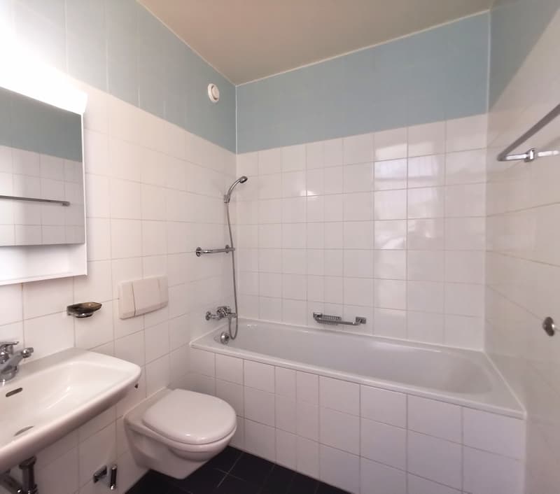 Splendide logement en duplex à deux pas de Rive (5)