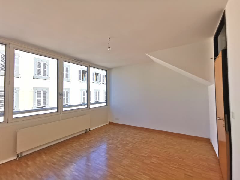 Splendide logement en duplex à deux pas de Rive (7)