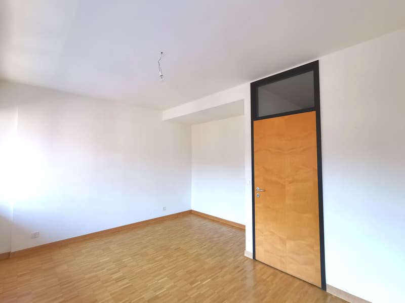 Splendide logement en duplex à deux pas de Rive (6)