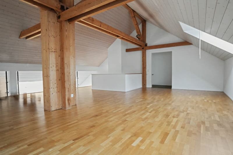 3.5 room apartment attic with gallery (10)