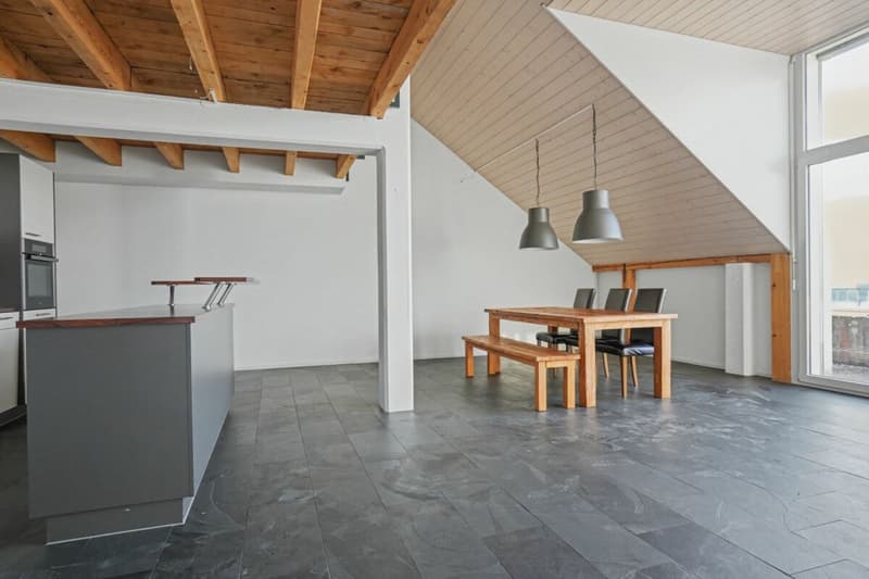 3.5 room apartment attic with gallery (3)