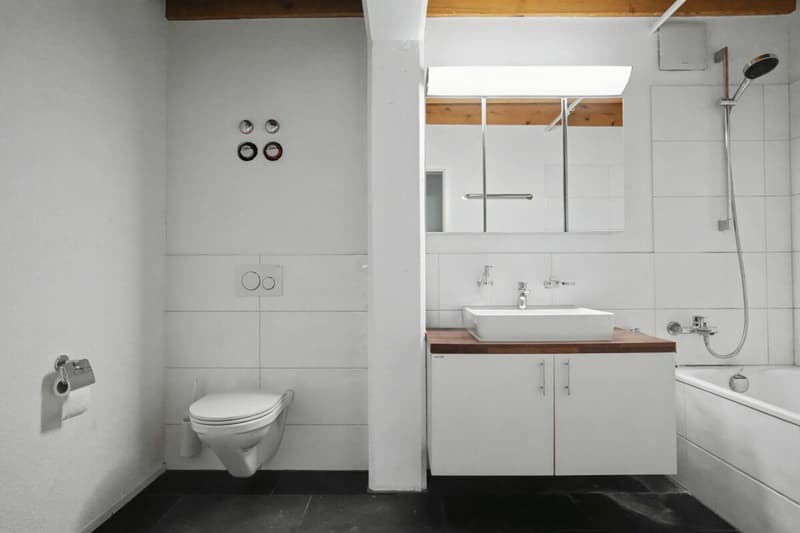 3.5 room apartment attic with gallery (8)