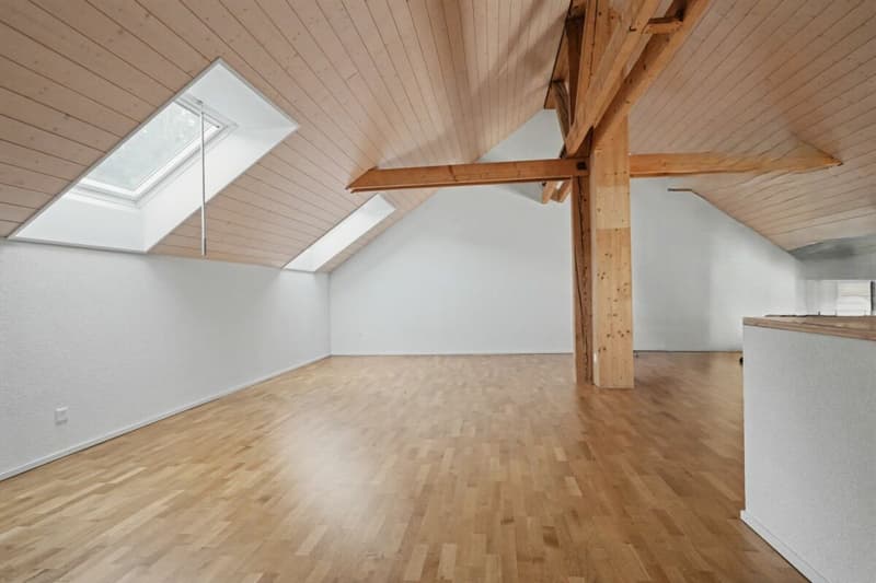 3.5 room apartment attic with gallery (9)