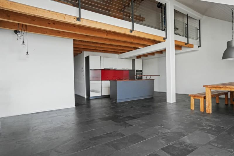 3.5 room apartment attic with gallery (2)