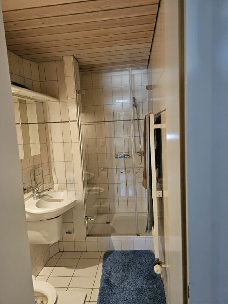 Wohnen im Stedtli Aarberg (5)