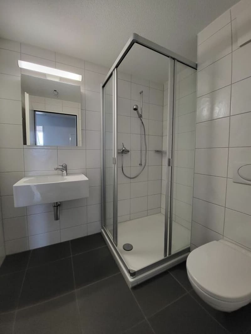 Attraktives Wohnen in exklusiver, riesiger Dachwohnung (4)