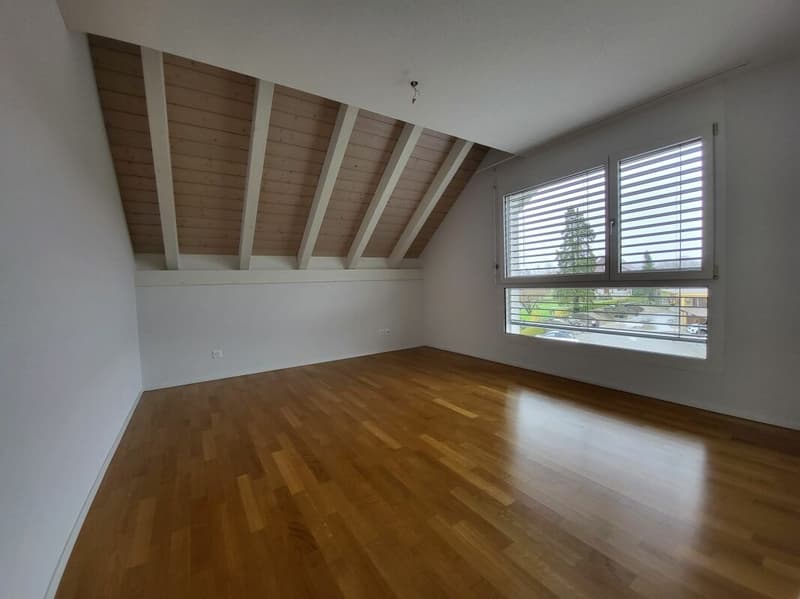 Attraktives Wohnen in exklusiver, riesiger Dachwohnung (7)