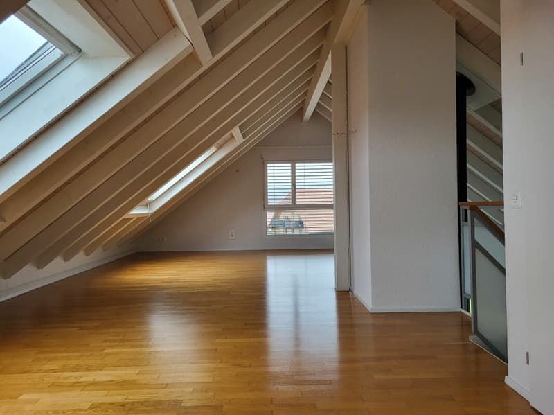 Attraktives Wohnen in exklusiver, riesiger Dachwohnung (6)