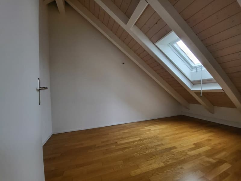 Attraktives Wohnen in exklusiver, riesiger Dachwohnung (11)