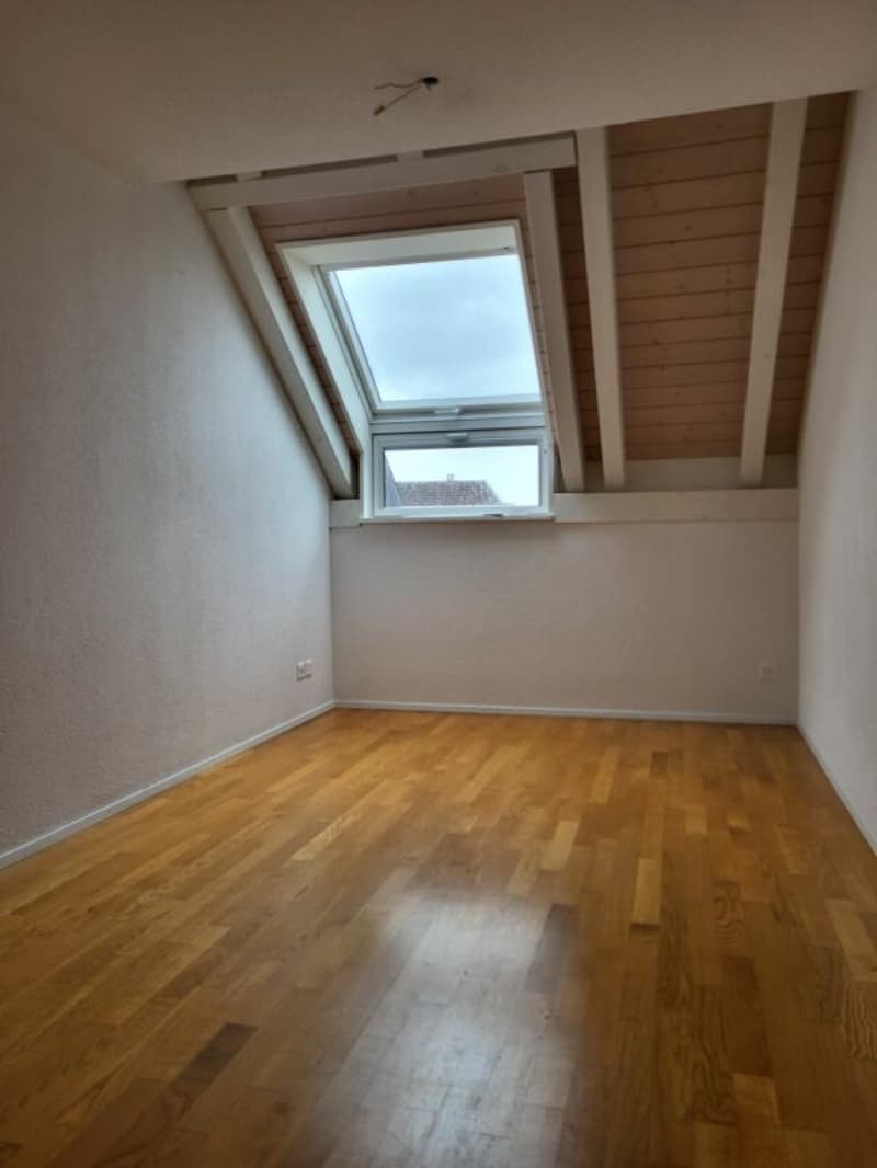 Attraktives Wohnen in exklusiver, riesiger Dachwohnung (8)