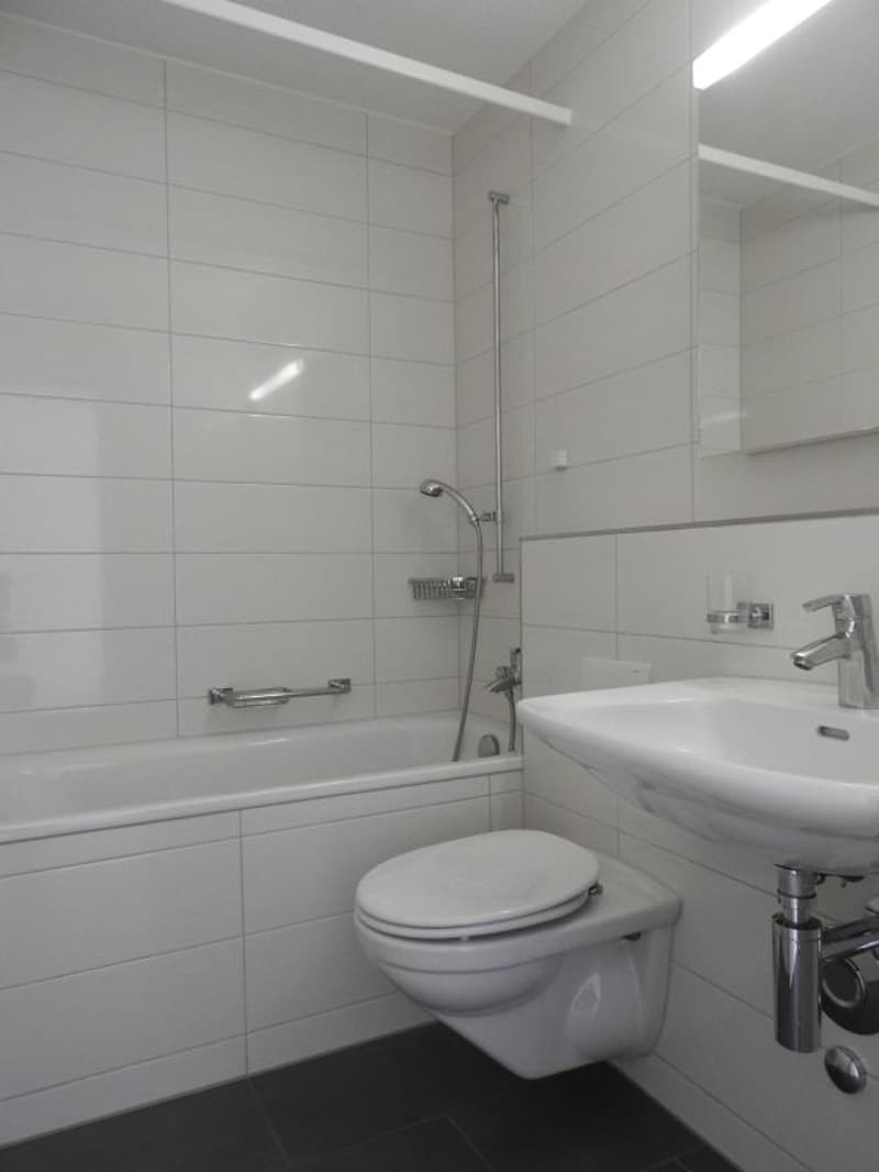 Charmante 3 1/2-Zimmer-Wohnung im Blüemlismatt-Quartier (5)