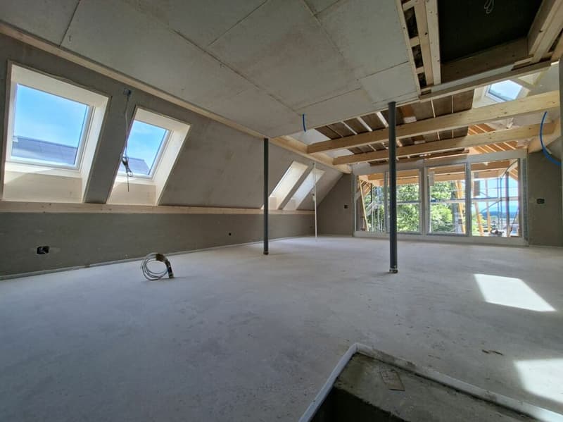 Erstvermietung einer einzigartigen 4.5-Zimmer-Duplexwohnung (3)