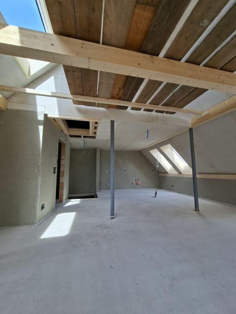 Erstvermietung einer einzigartigen 4.5-Zimmer-Duplexwohnung (4)