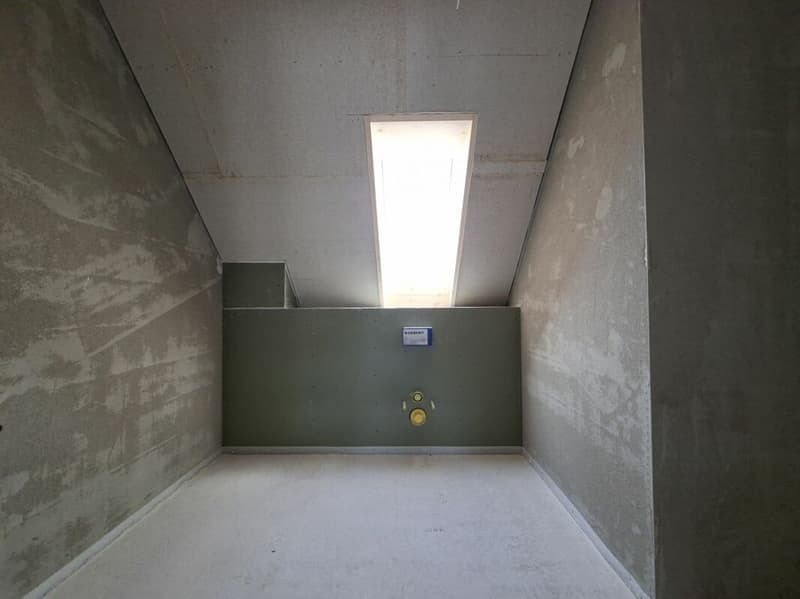 Erstvermietung einer einzigartigen 4.5-Zimmer-Duplexwohnung (9)