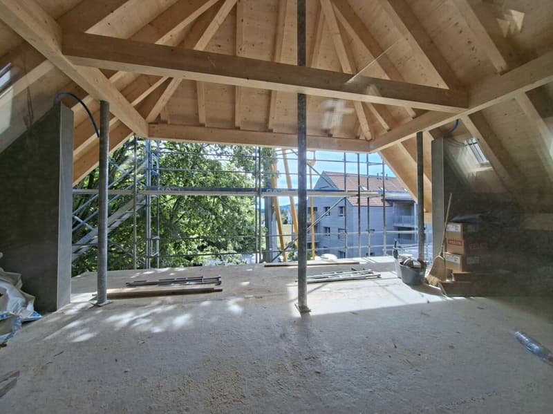 Erstvermietung einer einzigartigen 4.5-Zimmer-Duplexwohnung (2)