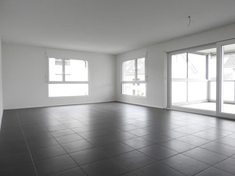 Helle 4.5-Zimmer-Parterrewohnung in familienfreundlichem Quartier (3)