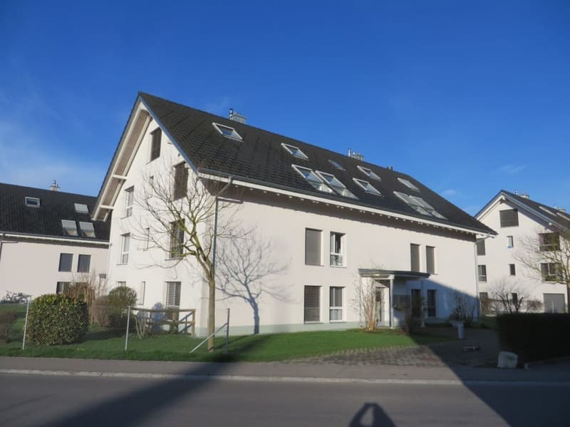 Helle 4.5-Zimmer-Parterrewohnung in familienfreundlichem Quartier (1)
