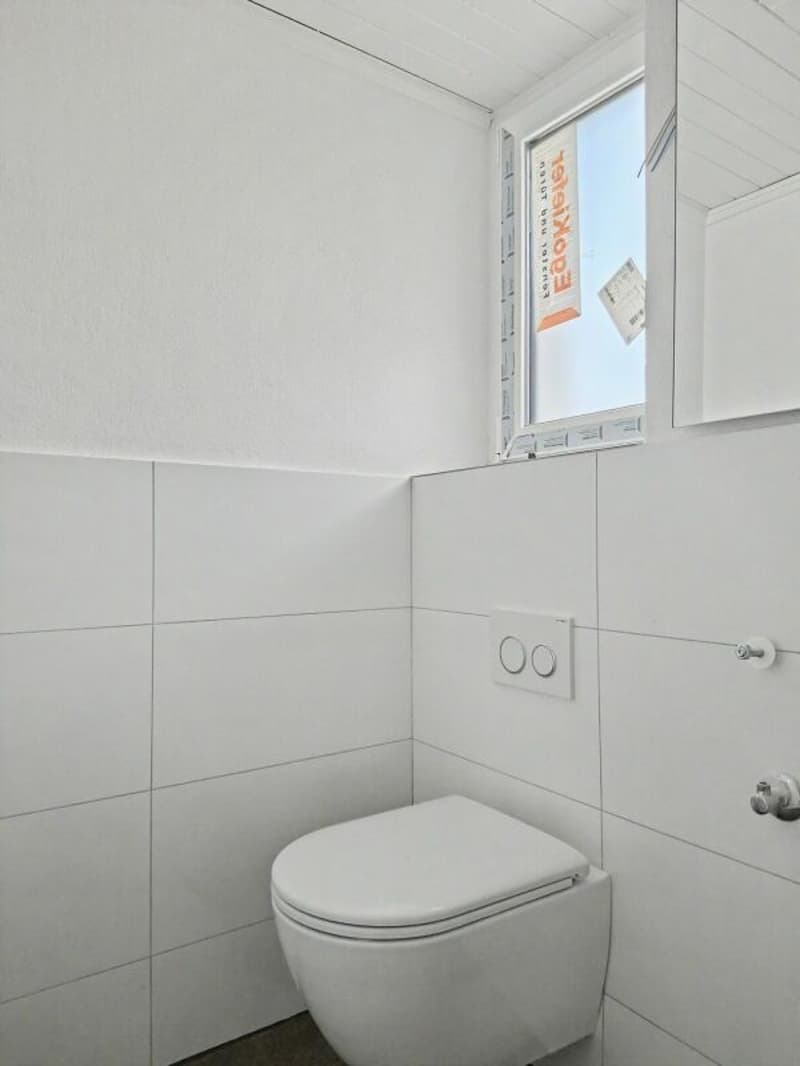 Erstvermietung einer sanierten 4.5-Zimmer-Duplexwohnung (10)
