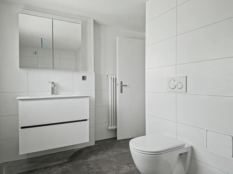 Erstvermietung einer sanierten 4.5-Zimmer-Duplexwohnung (9)